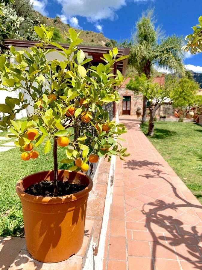 B&B Villa Vittoria Giardini Naxos Exteriér fotografie